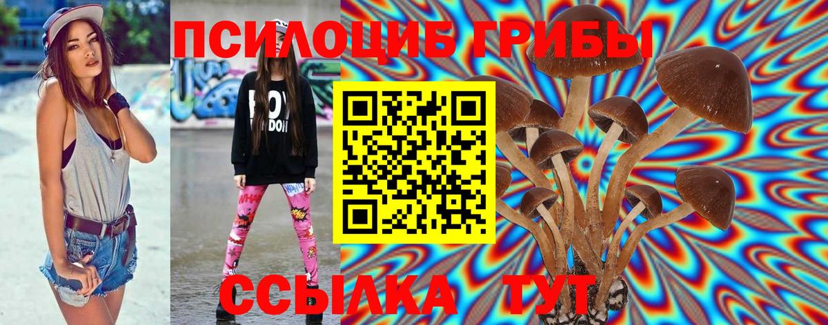 Галлюциногенные грибы Magic Shrooms Новокузнецк