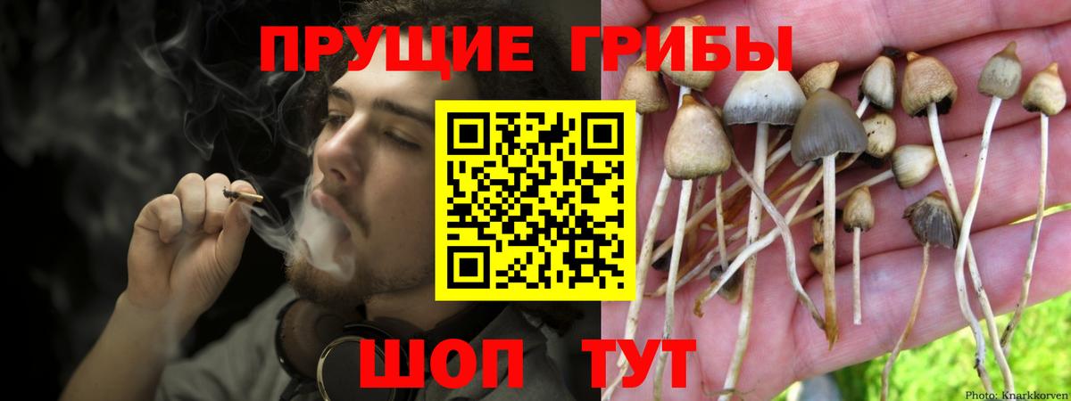Псилоцибиновые грибы мухоморы  Галлюциногенные грибы мицелий  Вход с VPN  Новокузнецк 